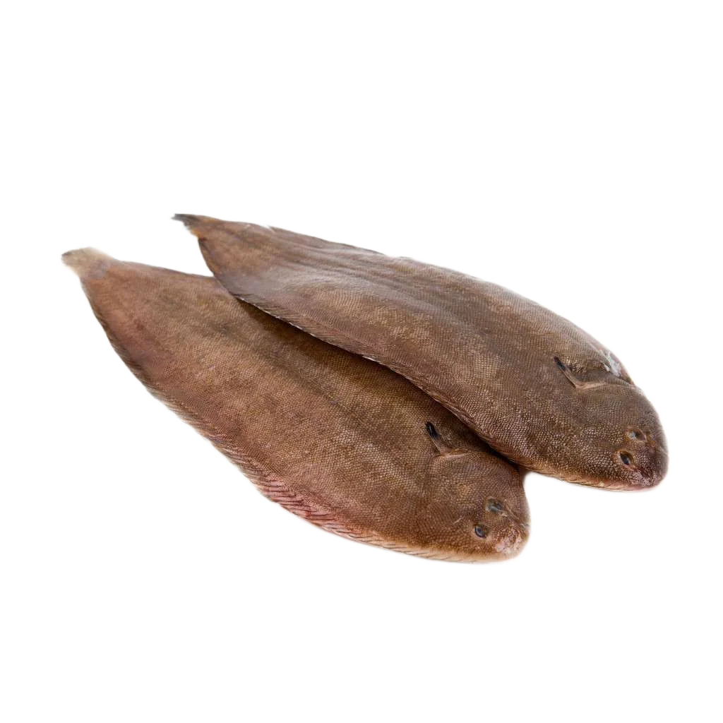 Dover Sole Skin On 400 gr / 600 gr