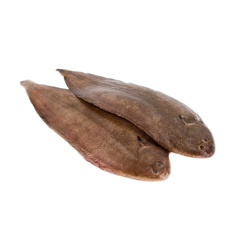 Dover Sole Skin On 400 gr / 600 gr