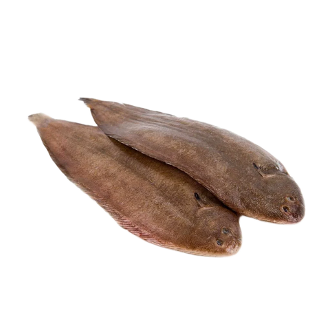 Dover Sole Skin On 800 gr / 1.000 gr