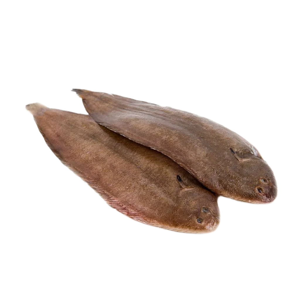 Dover Sole Skin On 800 gr / 1.000 gr