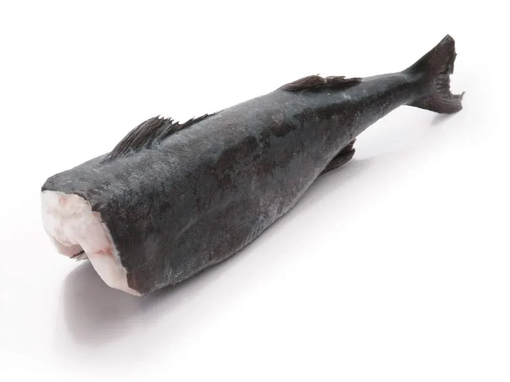 Black Cod Japan Grade 5 kg to 7 kg