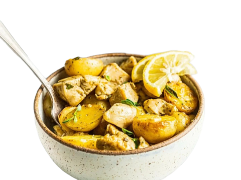 Sous Vide Chicken Roll Lemon-Oregano
