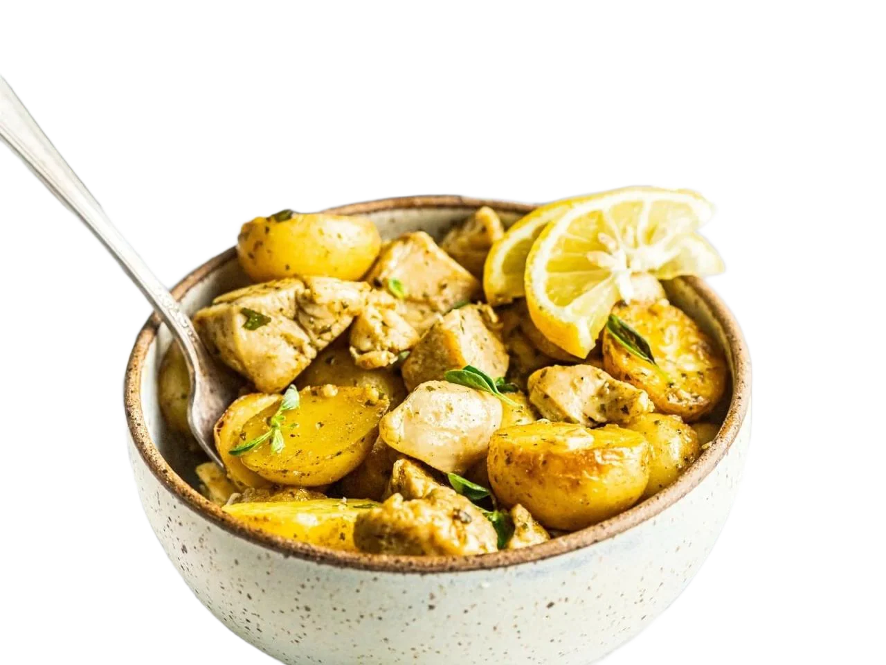 Sous Vide Chicken Roll Lemon-Oregano