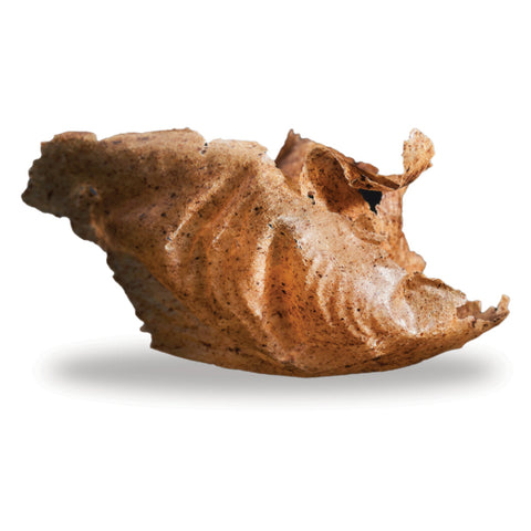 Didess Crunchy Nut Hazelnut 50 g/2