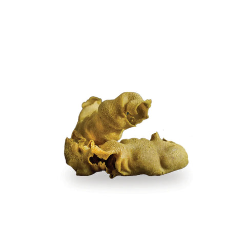 Didess Crunchy Nut Pistachio 125 g/2