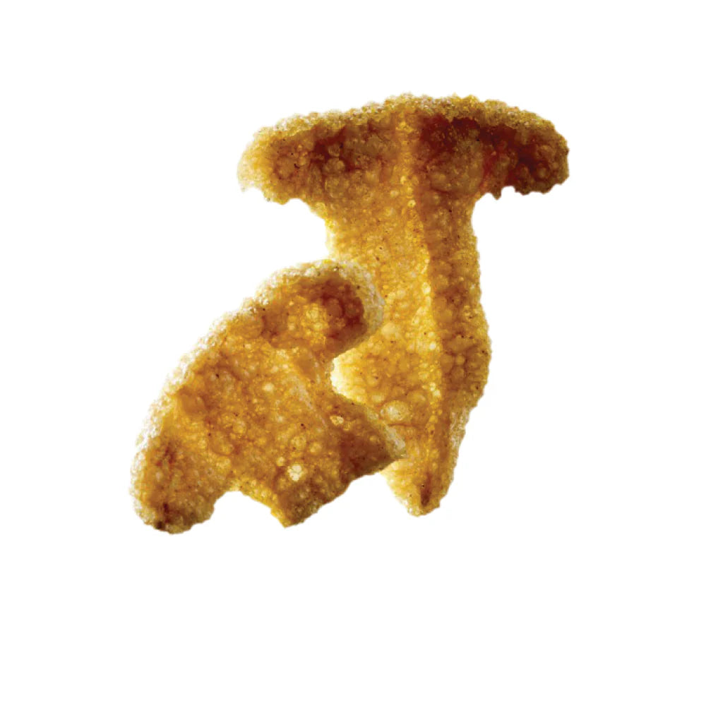 Didess Tasty Bites Cep & Mushroom Salt 175 pc/4