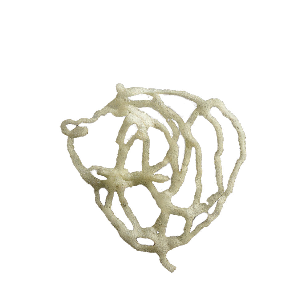 Didess Tasty Bites Miso & Za'atar 60 pc/5