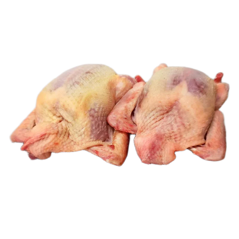 Farmed pigeon 340–380g