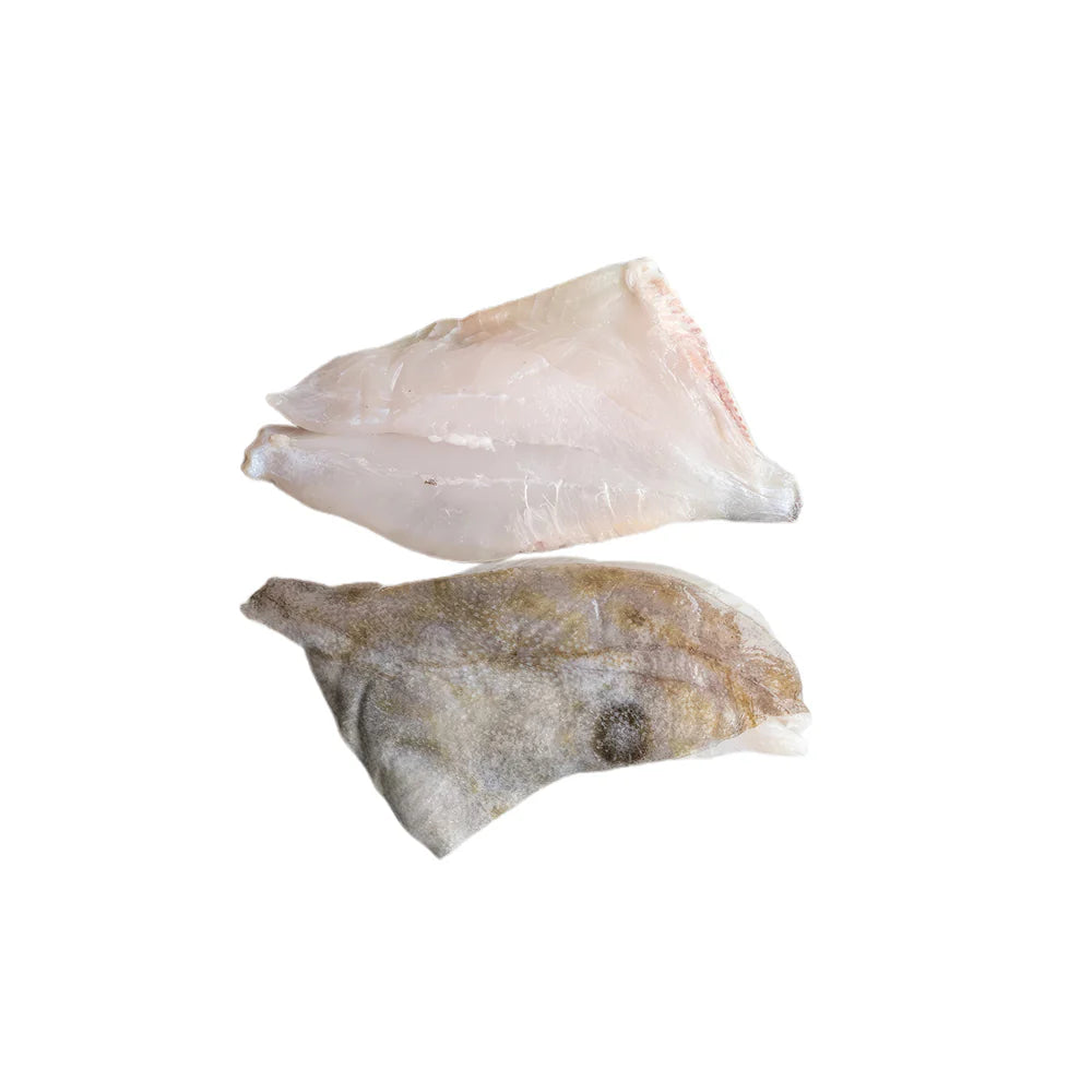 John Dory Fish Fillet Μ/Δ 200 gr to 300 gr