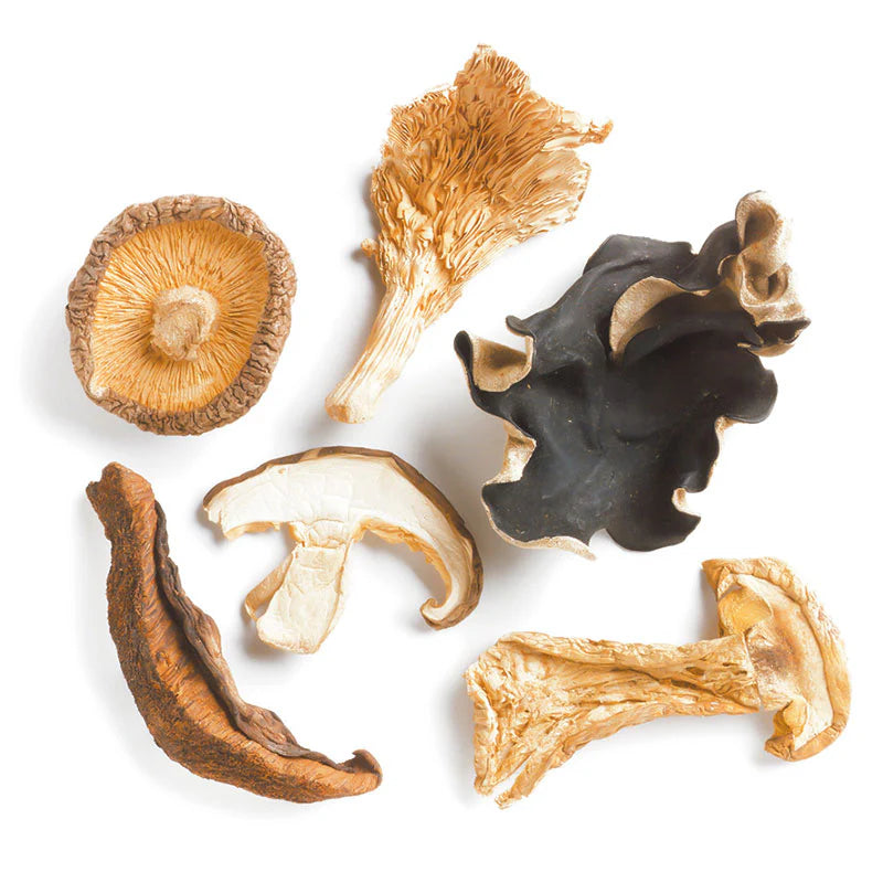 Mix Mushrooms of Forest 1 kg
