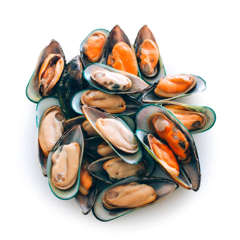 Mussels Half Shell Bulk