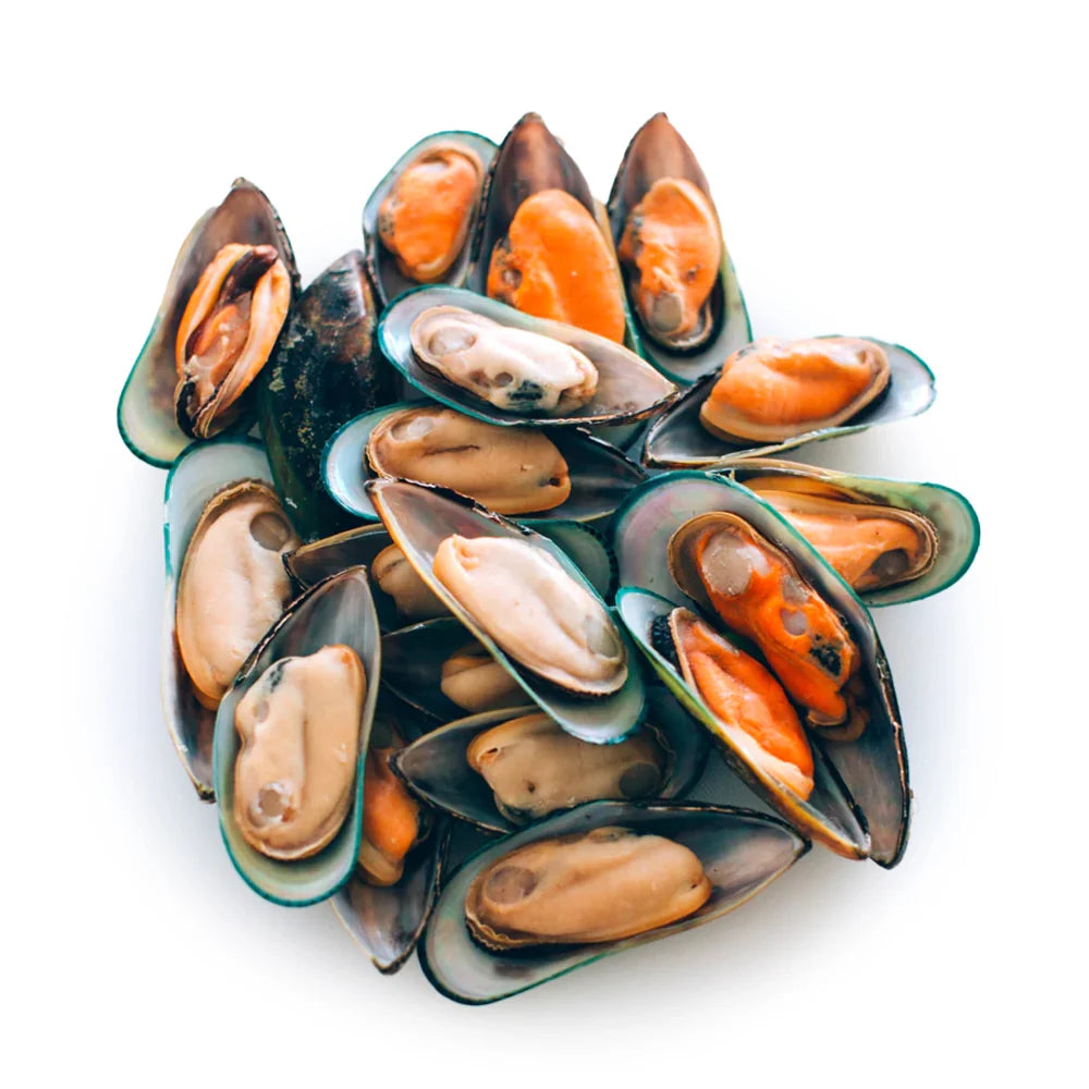 Mussels Half Shell Bulk