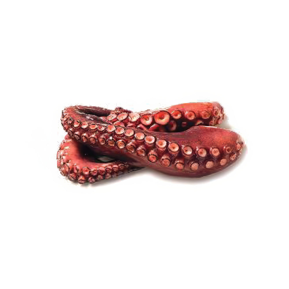 Octopus Tentacle Preboiled 12T 100 gr to 150 gr