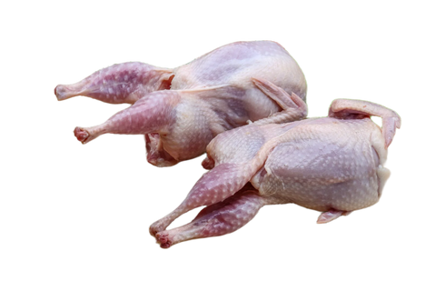 Quail head off 180g+