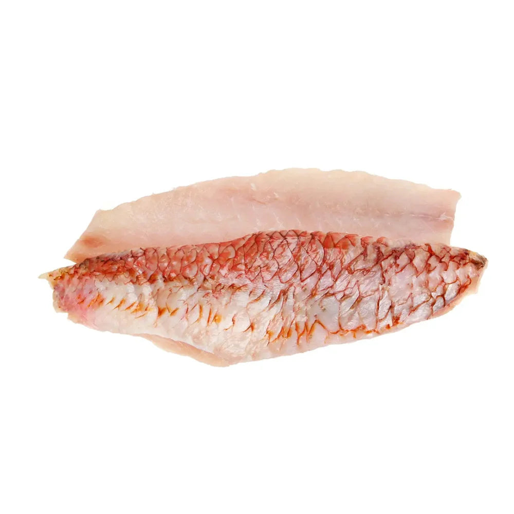 Red Mullet Fillet IQF