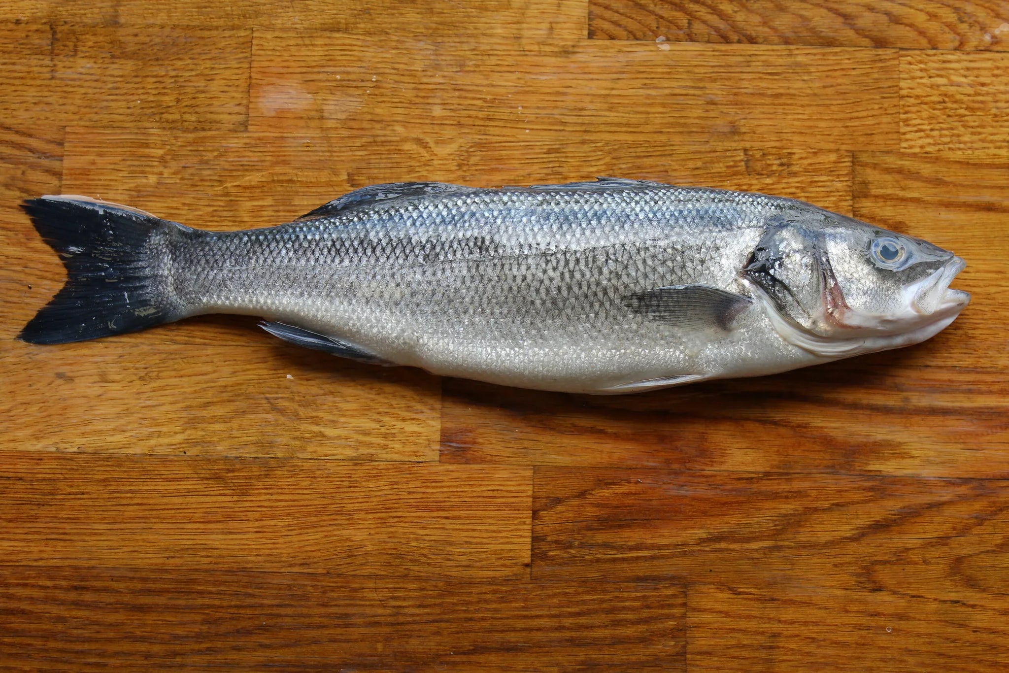 Sea Bass Whole Gutted and Peeled 200 gr to 300 gr IQF Frozen