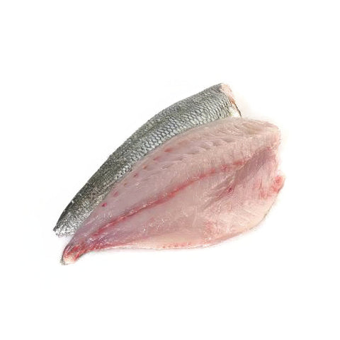 Sea Bream Fillet 120 gr to 160 gr IQF Frozen