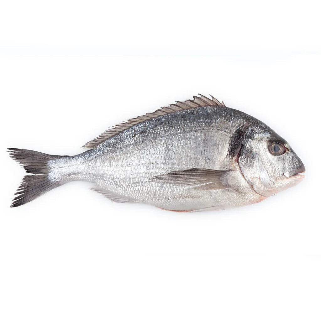 Sea Bream Whole Gutted and Peeled 400 gr to 600 gr IQF Frozen