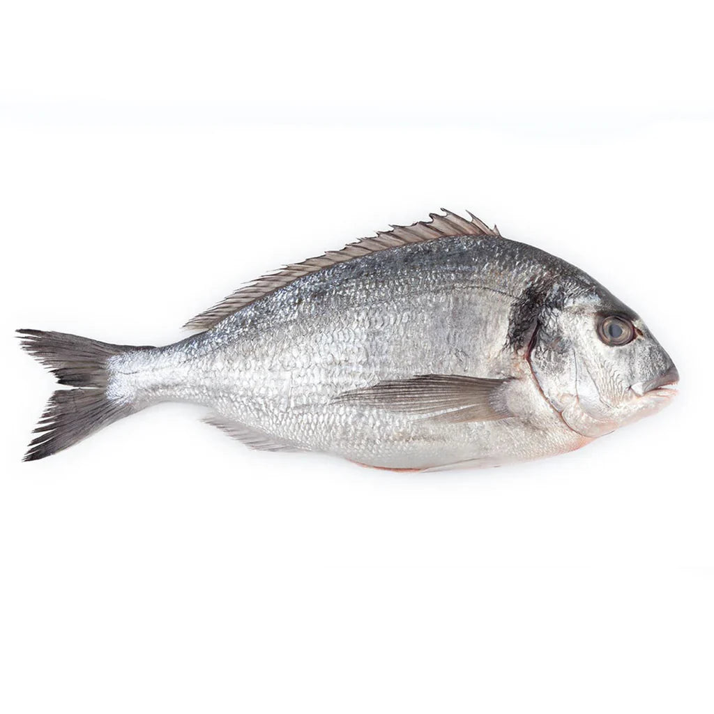 Sea Bream Whole Gutted and Peeled 400 gr to 600 gr IQF Frozen
