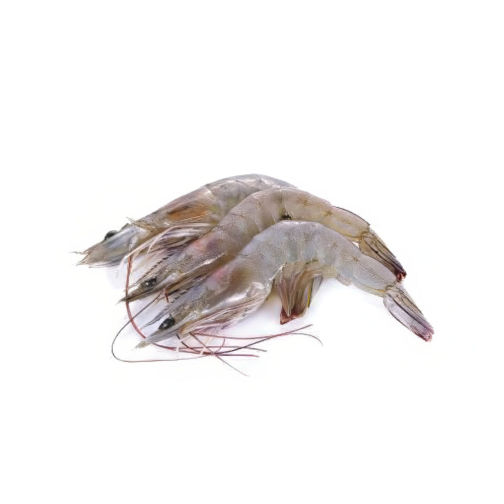 Shrimp Vannamei 30/40