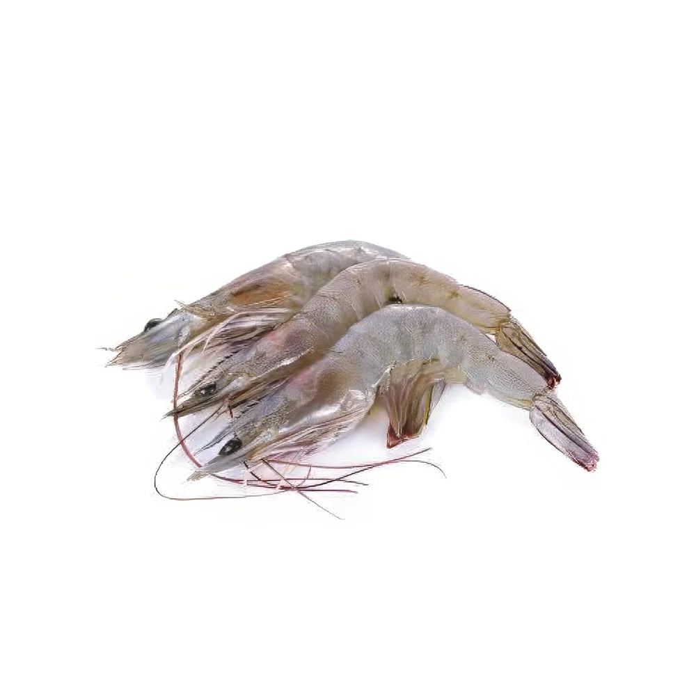 Shrimp Vannamei 30/40