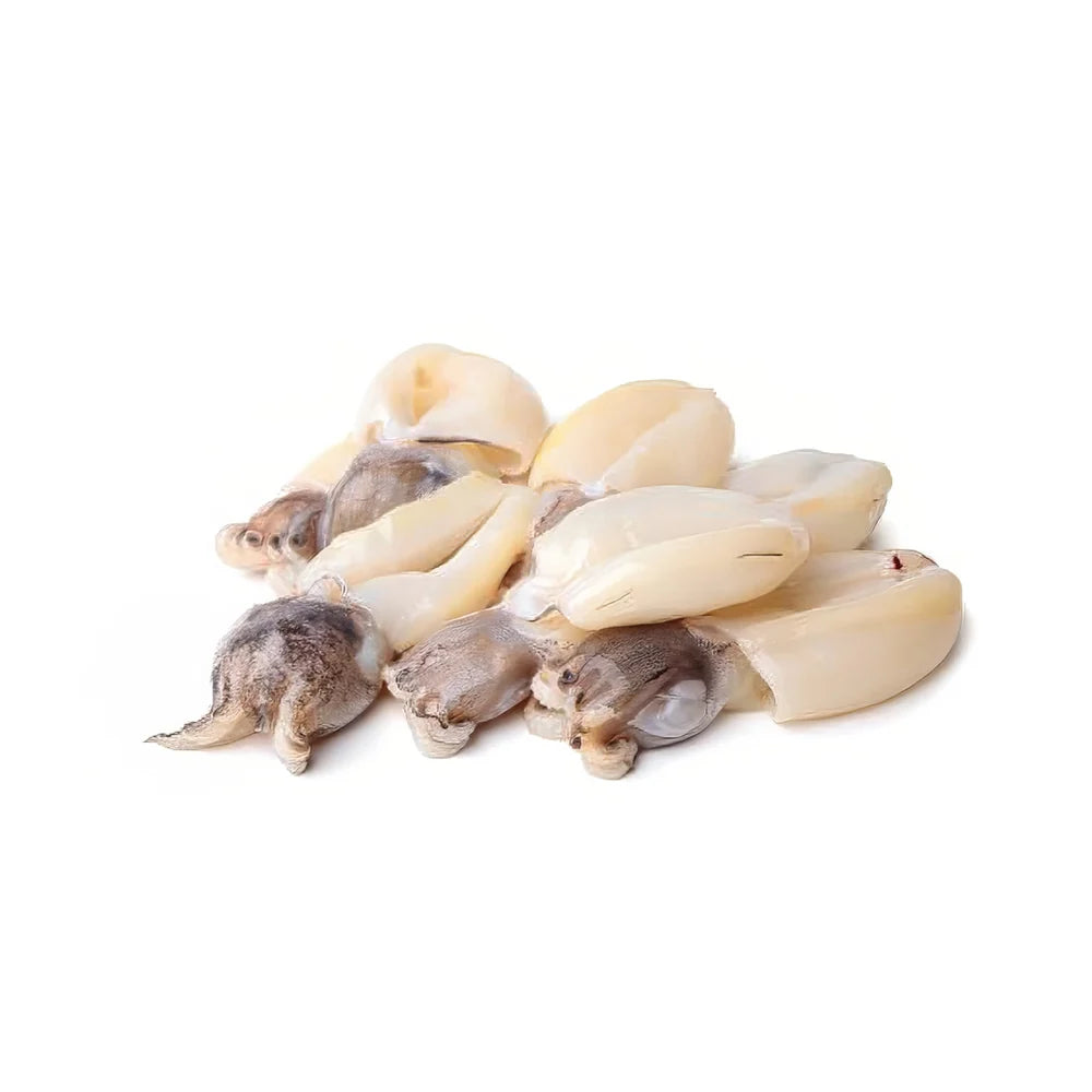 Squid Gonos Extra Janpanese 36 cm 1 kg