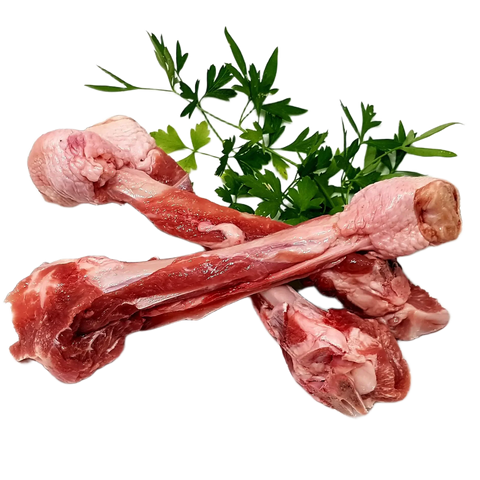 Turkey leg bone in Loué
