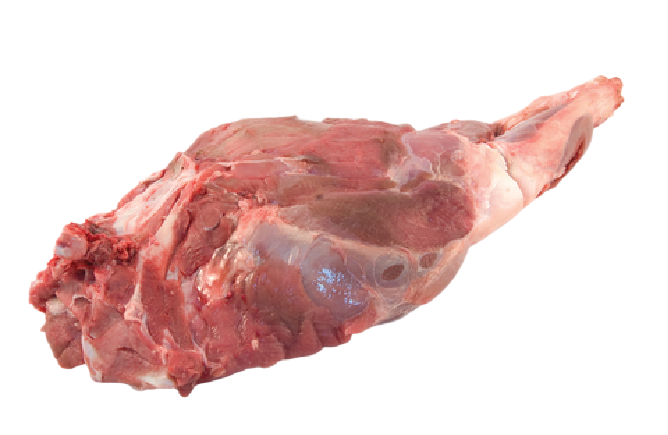 Venison (Deer) Leg Bonelles