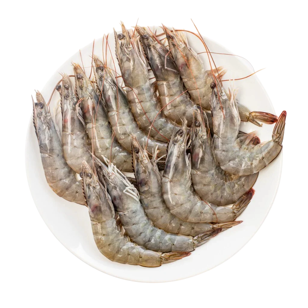 Shrimp 20/30 Vannamei Supreme 0%