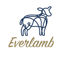 everlamb